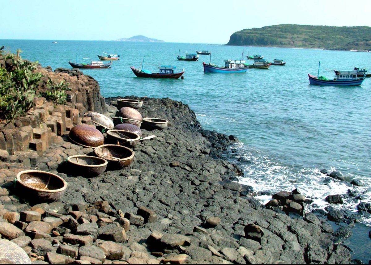 Giao lưu trực tuyến với lãnh đạo UBND tỉnh Phú Yên: Cơ hội đầu tư vào Phú Yên ảnh 66